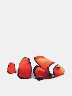 Lápiz moldeador de peces creativo Bolsa Lápiz Caso